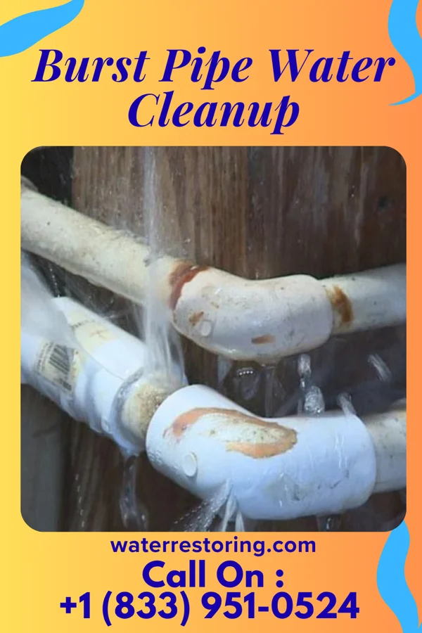 Burst Pipe Water Cleanup in Eastover, SC