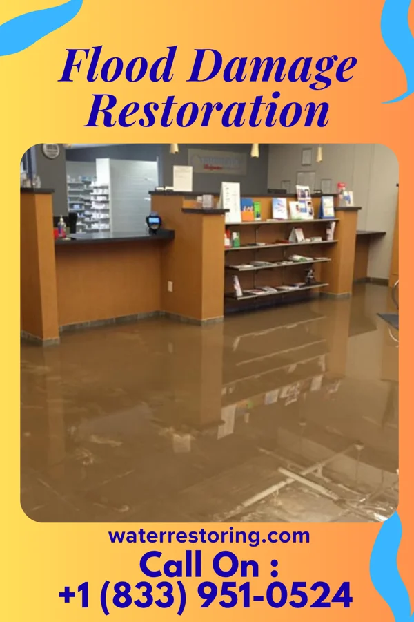 Flood Damage Restoration in Eastover, SC