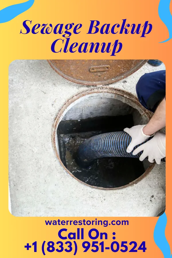 Sewage Backup Cleanup in Eastover, SC