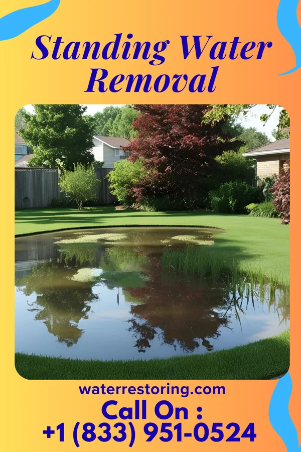Standing Water Removal in Eastover, SC